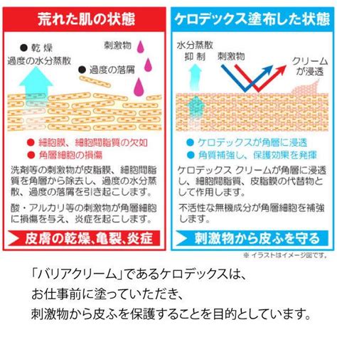 手荒れでお困りの方に！【ケロデックス皮膚保護クリーム】100gチューブタイプ業務用 皮膚保護クリームKERODEX | はなそうにん ...