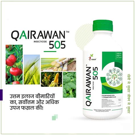 Chlorpyrifos 50% + Cypermethrin 5% EC Insecticide - Qairawan | FarmMate.in