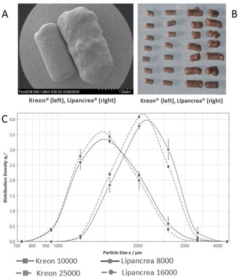 Kreon® (Creon®) vs. Lipancrea®: In Vitro Comparison of Two Encapsulated ...