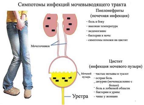 Пенится моча - причины и лечение у женщин и мужчин
