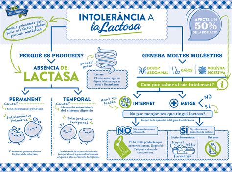 Todo lo que necesitas saber para mejorar la intolerancia a la lactosa con la alimentación | La ...