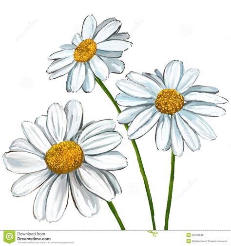 flower drawing daisy