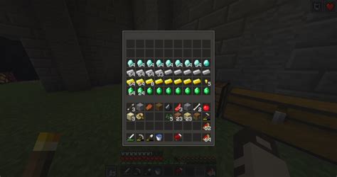 Image result for Minecraft Double Check GUI