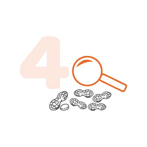 Why choose Pintola? | 5 Reasons we are superior to other brand