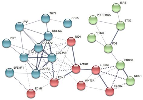 Biology | Special Issue : Translational Aspects of Cardiovascular ...