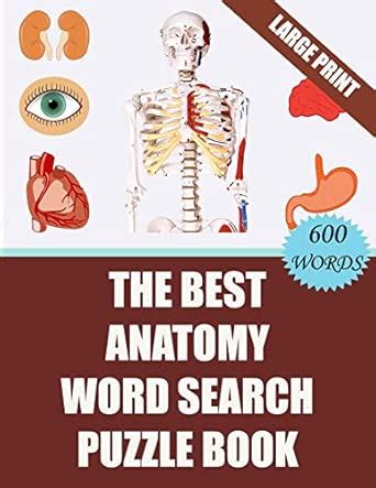 Buy The Best Anatomy Word Search Puzzle Book: 40 Challenging Word ...