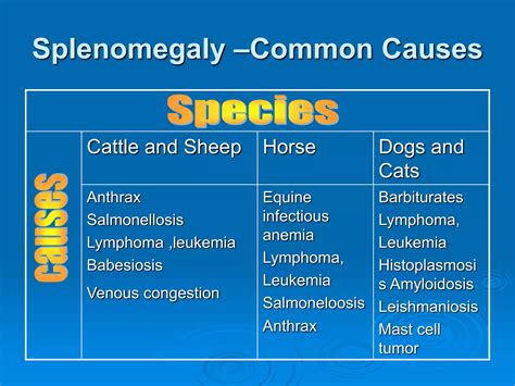 disorder of hematopoietic system | PPT