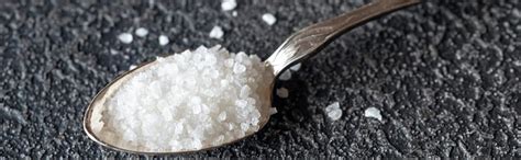 Sampige Kosher salt - All Natural & Coarse - 900 Grams : Amazon.in ...