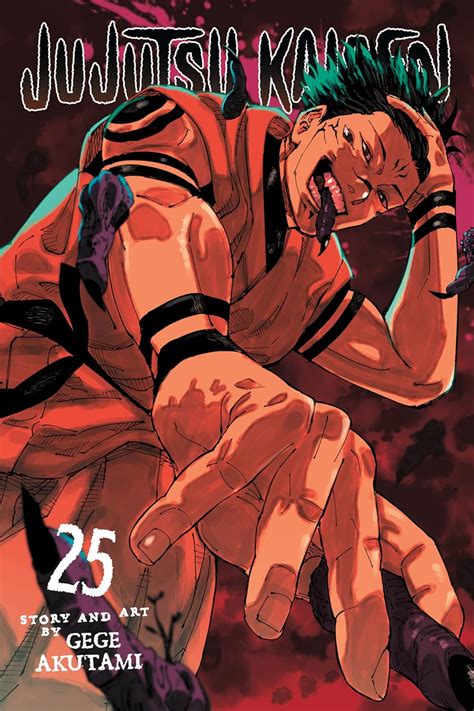 Jujutsu Kaisen, Vol. 25 eBook : Akutami, Gege: Amazon.in: Books