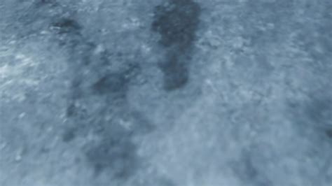 Fogerty Ice Arena | Fogerty Arena | United States