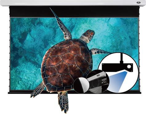 Buy VIVIDSTORM-ALR Screens,Revolve & Sound Transparent ALR UST Motor ...