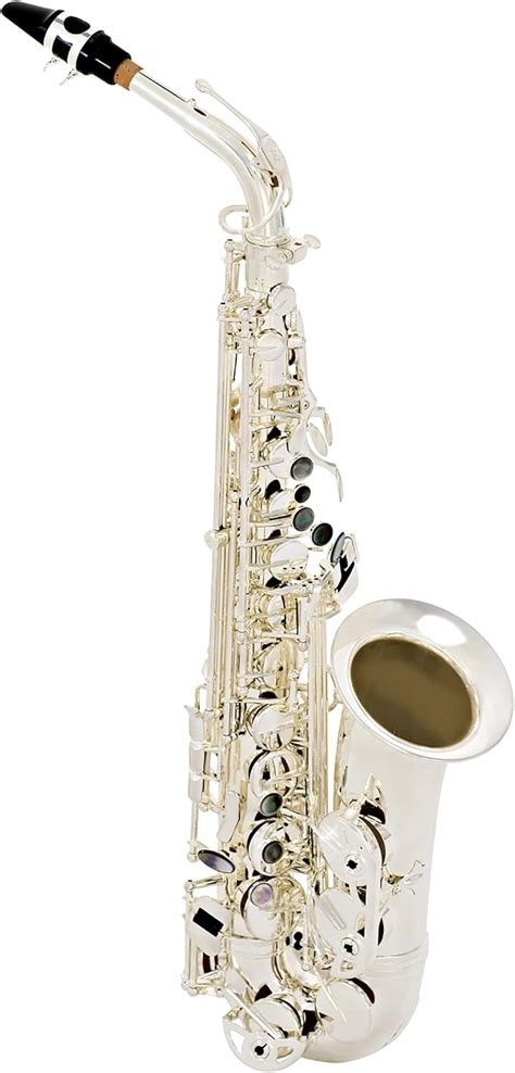 Buy Selmer La Voix ll Alto Saxophone Outfit-Silver Online at Lowest ...