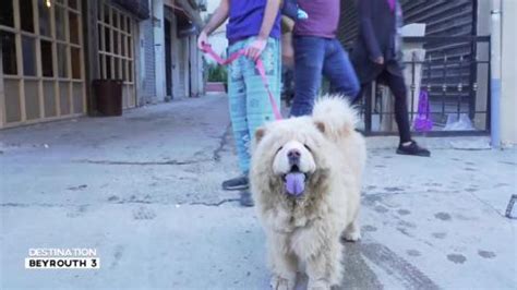 Prononciation : l'élision et l'effacement | Apprendre le français avec ...