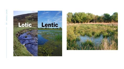 Different Types of Environmental Science 的图像结果