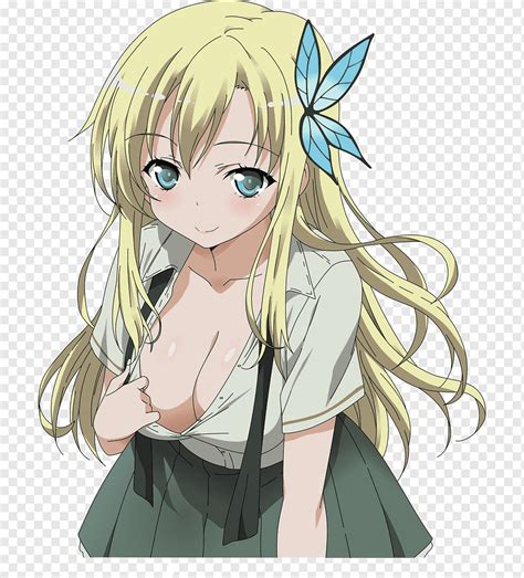 Sena Kashiwazaki