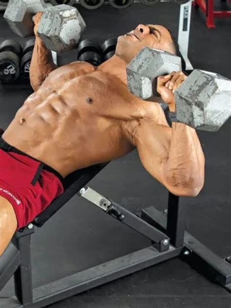 Image result for Exercise for Chest Muscles