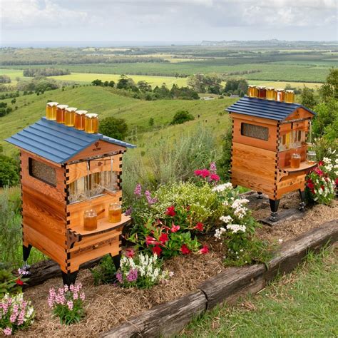 Image result for Spring Beekeeping