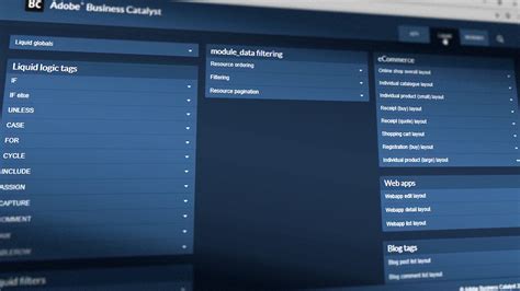 Image result for Adobe Catalyst Tutorial