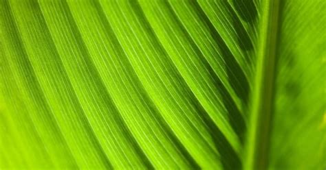 ESG Reporting and Metrics in the Indian Building Industry