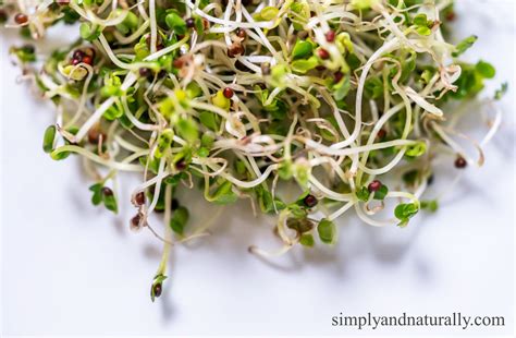Raw Sprouts and Health Benefits - Simply and Naturally