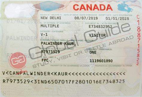 Study Visa Consultant in Mohali, PR Visa Consultant in Mohali, Business ...