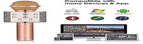 ABB INDIA Solutions & Services GIGAGLITZ Karaoke Microphone Wireless ...