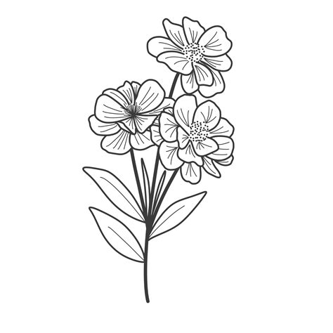 Flower outline for coloring book 24728828 PNG