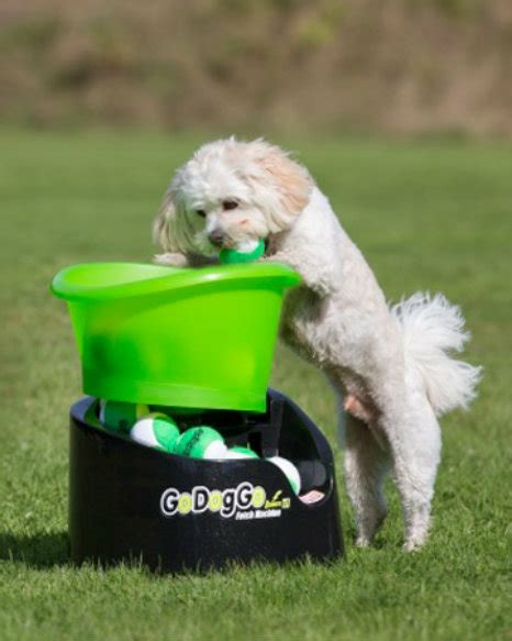 Go Dog Go Fetch Machine 的图像结果