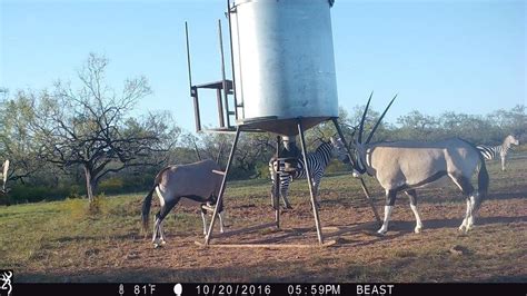 BRADY LAKE & CAMPGROUND - Campground Reviews & Photos - Tripadvisor