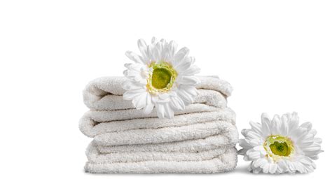 User account | Laundry Champ