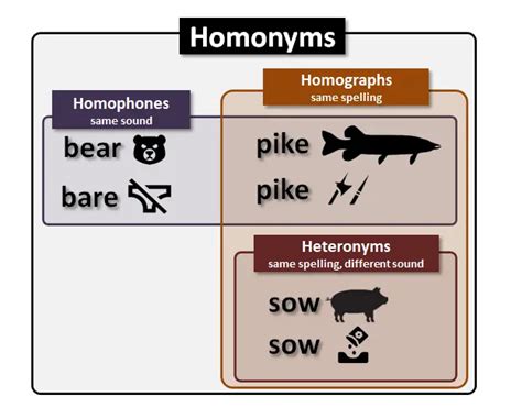 Image result for Homonym Examples