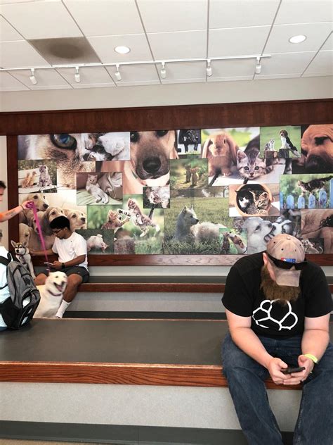 HAMLETT SPAY & NEUTER CLINIC - Colorado Springs CO - Hours, Directions ...