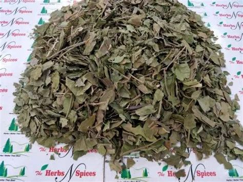 Herbal Leaves - Aloe Vera Leaves Dry - Aloe barbadensis Manufacturer ...