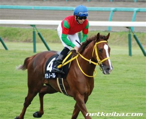 パラノーマル (Paranormal) | 競走馬データ - netkeiba
