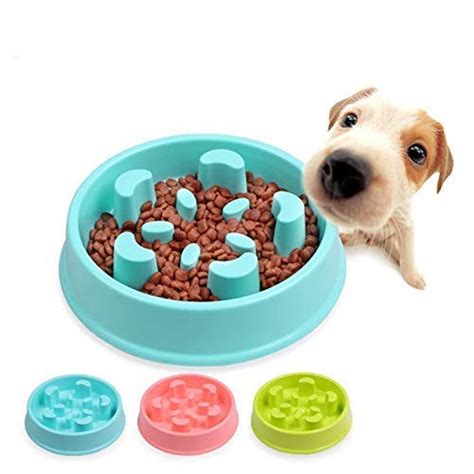 Buy Picckola International Anti Choke Small Dogs & Puppies Food Slow ...
