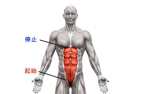 Image result for Gray World Algorithm