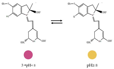 Bio-Based Sensors for Smart Food Packaging—Current Applications and ...