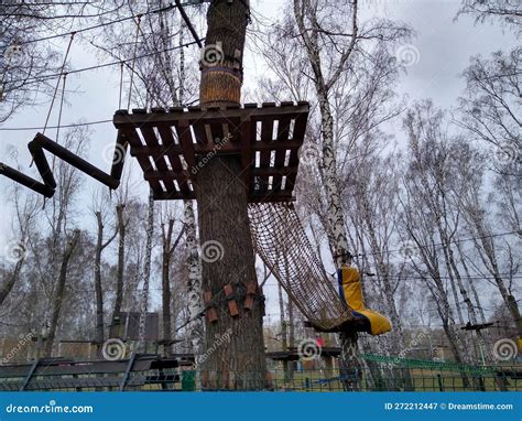 Orienteering in the Park Using Hanging Ladders and Ropes To Overcome ...