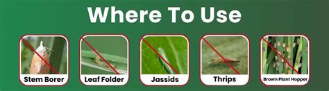 Katyayani Thioxam Thiamethoxam 25% WG | Price ₹250 Only