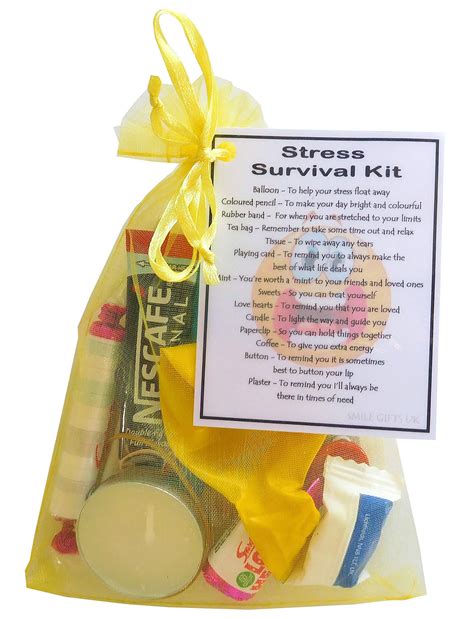 SMILE GIFTS UK Stress Survival Kit Gift (Great mini novelty stress ...