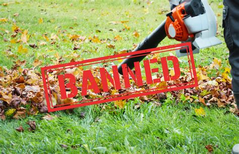 States and towns consider banning gas-powered leaf blowers and lawn mowers Minimalist Aesthetic