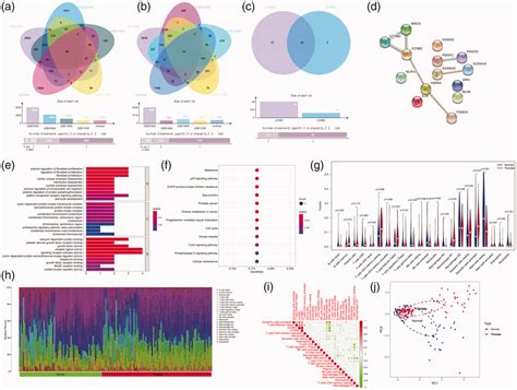 Image result for CCNB Clamshell
