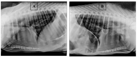 Portable Electronic Nose for Analyzing the Smell of Nasal Secretions in ...