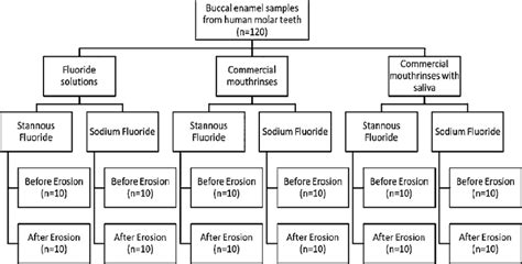 Image result for Random Allocation