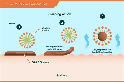 What are surfactants? – Marigold Charms