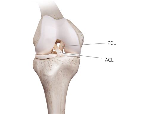 How do you know if your ACL is damaged? Symptoms of ACL injury