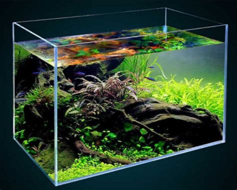 Image result for Fish Tank Texture