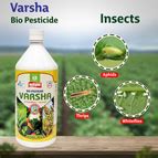 Multiplex Varsha (Verticillium lecanii) Liquid – Agriplex