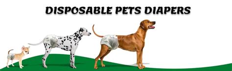 Buy Foodie Puppies Disposable Pet Diapers for Dogs - (12Pcs, X-Large ...