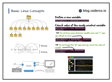 Image result for Basic in Linux
